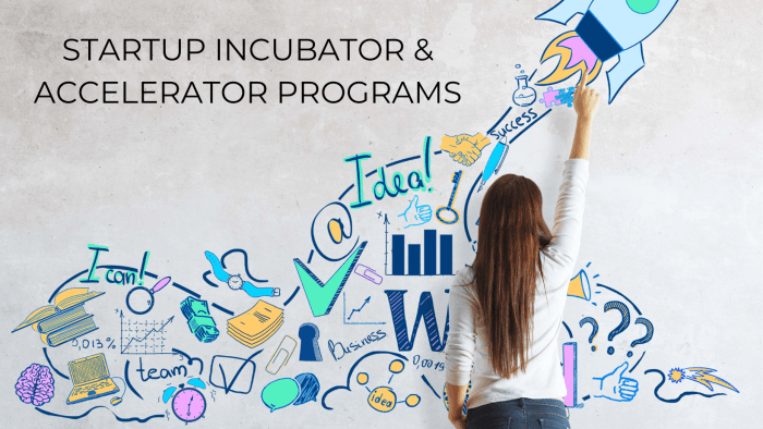 Business incubator programs
